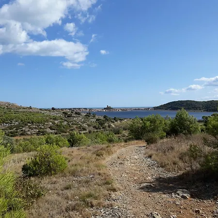 Opuntia Teouliero Location En Mediterranee