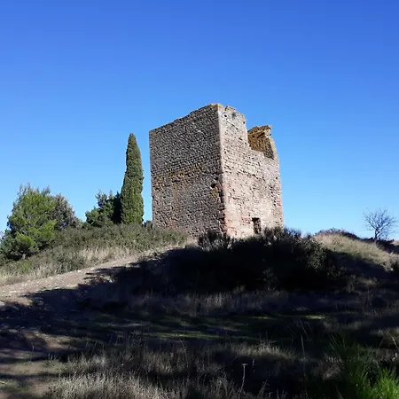 Opuntia Teouliero Location En Mediterranee