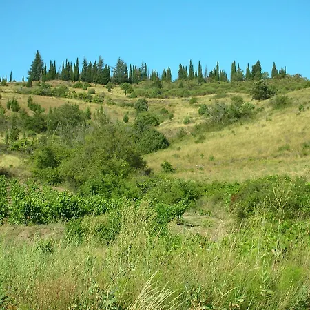 Opuntia Teouliero Location En Mediterranee Prázdninový dům
