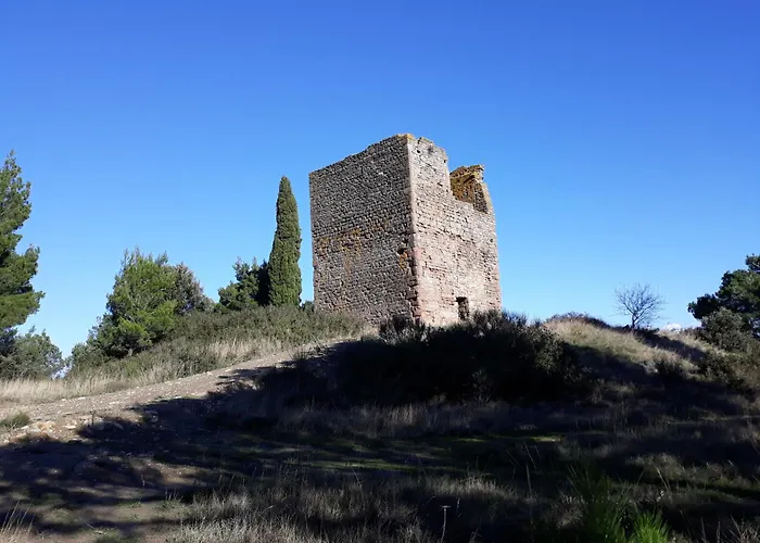 Opuntia Teouliero Location En Mediterranee