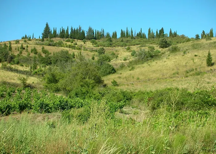Opuntia Teouliero Location En Mediterranee בית נופש